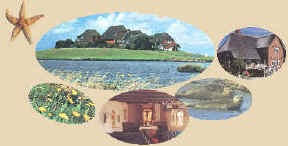 <h2>Impressionen</h2> Hallig Hooge